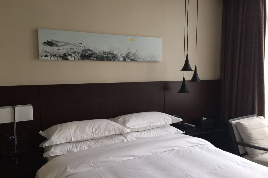 Fancy Hotel Shenzhen Eksteriør billede